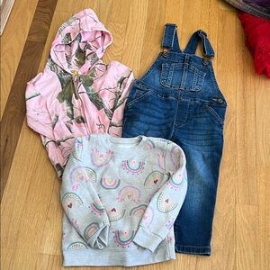 Lot of 3 Sz.2T BassPro Pink Camo Hoodie, Wonder Nation Denim Overalls,Garanimals